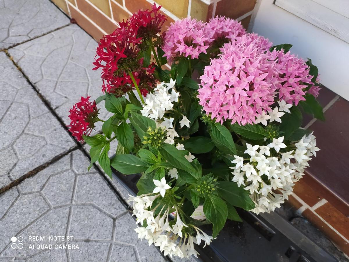 Ferienwohnung Espenau ภายนอก รูปภาพ